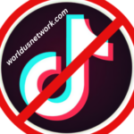 Tik Tok Ban Global Controversy, Security Concerns, and the Future of Social Media