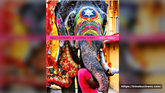 Elephants and India